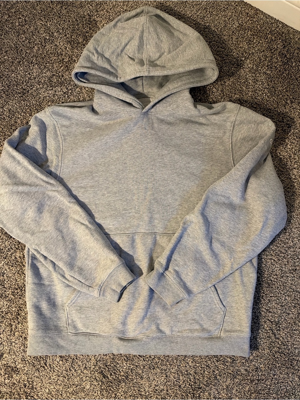 Alo Yoga Renown Heavy Weight Hoodie